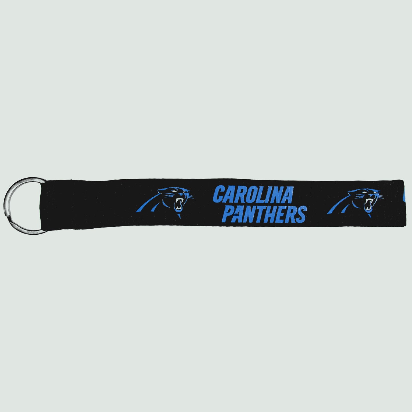 Carolina Panthers Tailgate Crate