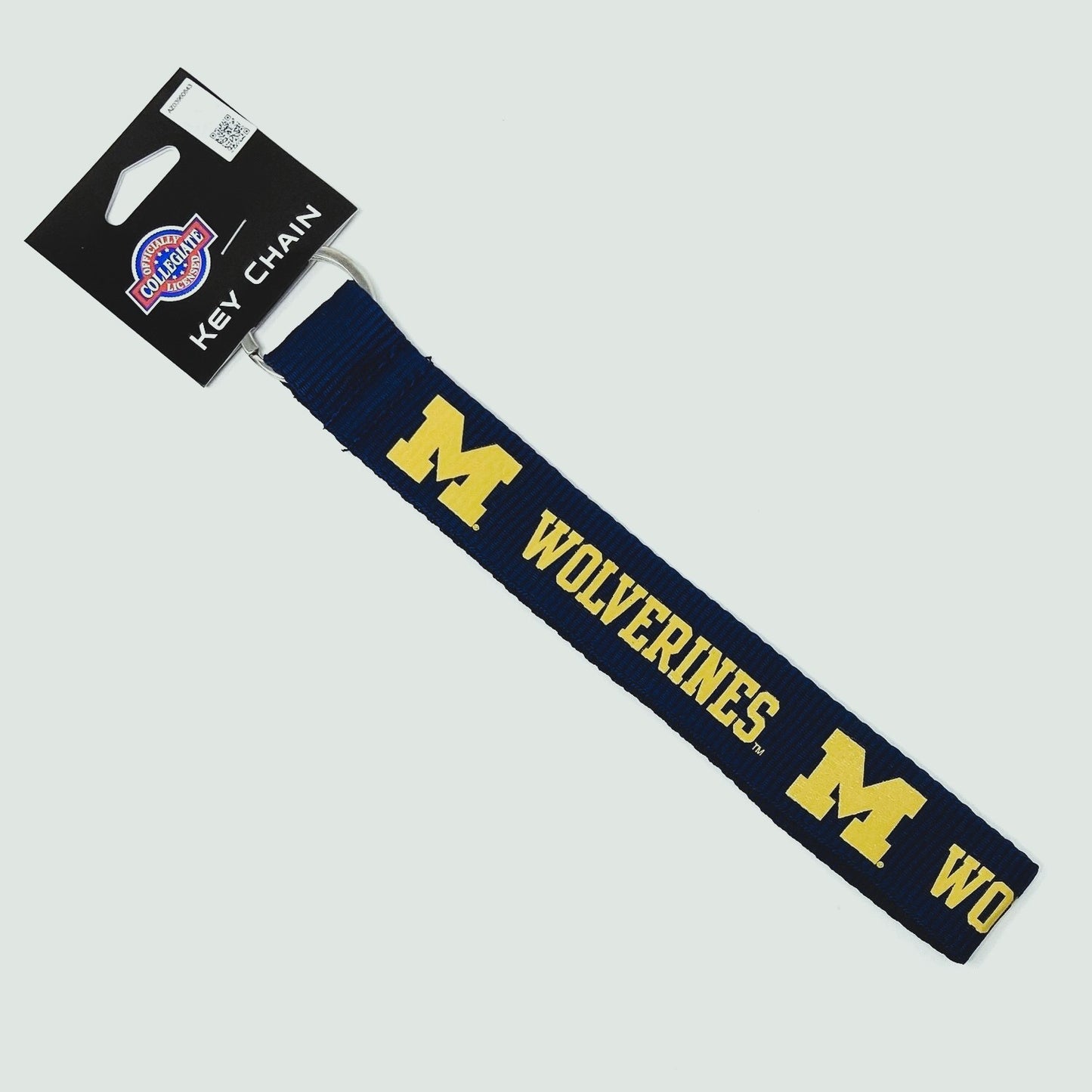 Michigan Wolverines Tailgate Crate